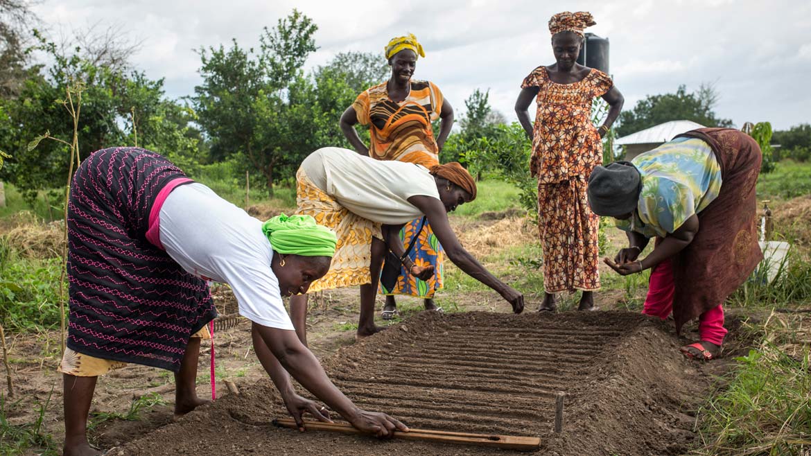 Dones del Senegal treballant la terra, beneficiades en el marc del projecte "Formació Empresarial a les dones agricultores de Medina Boudialaou"